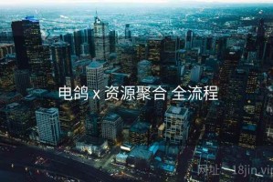 电鸽 x 资源聚合 全流程