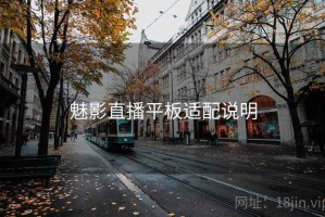 魅影直播平板适配说明