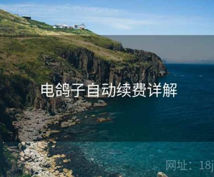 电鸽子自动续费详解