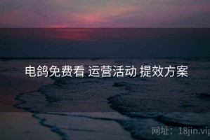 电鸽免费看 运营活动 提效方案