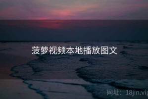菠萝视频本地播放图文
