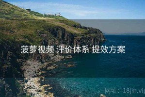 菠萝视频 评价体系 提效方案