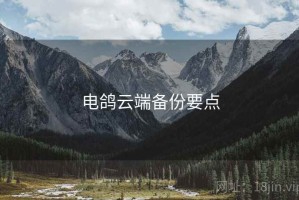 电鸽云端备份要点