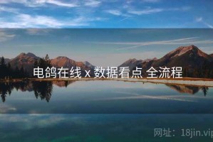 电鸽在线 x 数据看点 全流程