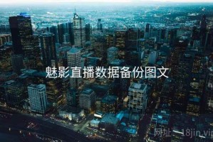 魅影直播数据备份图文