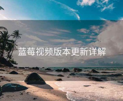 蓝莓视频版本更新详解