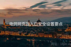 电鸽网页版入口安全设置要点