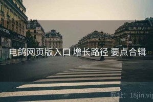 电鸽网页版入口 增长路径 要点合辑