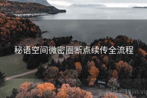 秘语空间微密圈断点续传全流程