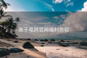 关于电鸽官网福利领取