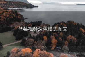 蓝莓视频深色模式图文