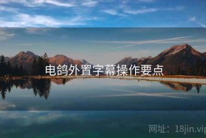电鸽外置字幕操作要点