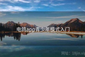 电鸽app青少年模式入门