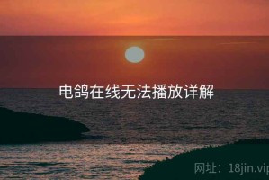 电鸽在线无法播放详解