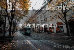 电鸽在线时间锁说明