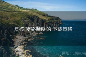 复核 菠萝视频 的 下载策略