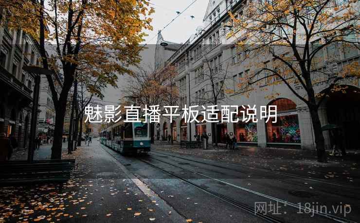 魅影直播平板适配说明