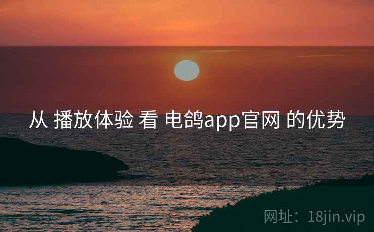 从 播放体验 看 电鸽app官网 的优势