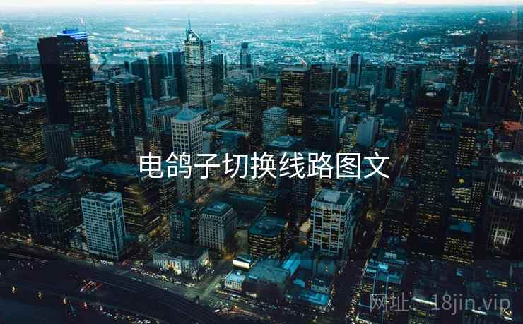 电鸽子切换线路图文