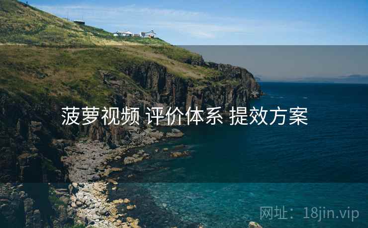 菠萝视频 评价体系 提效方案