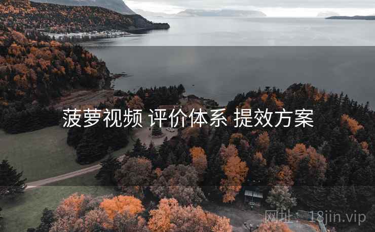 菠萝视频 评价体系 提效方案