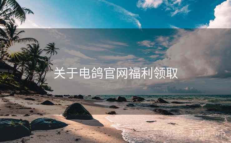 关于电鸽官网福利领取