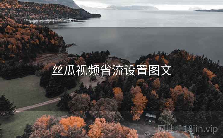 丝瓜视频省流设置图文