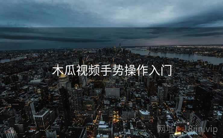 木瓜视频手势操作入门