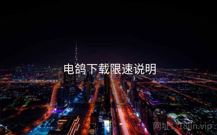 电鸽下载限速说明