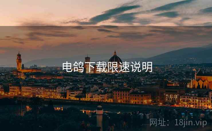 电鸽下载限速说明