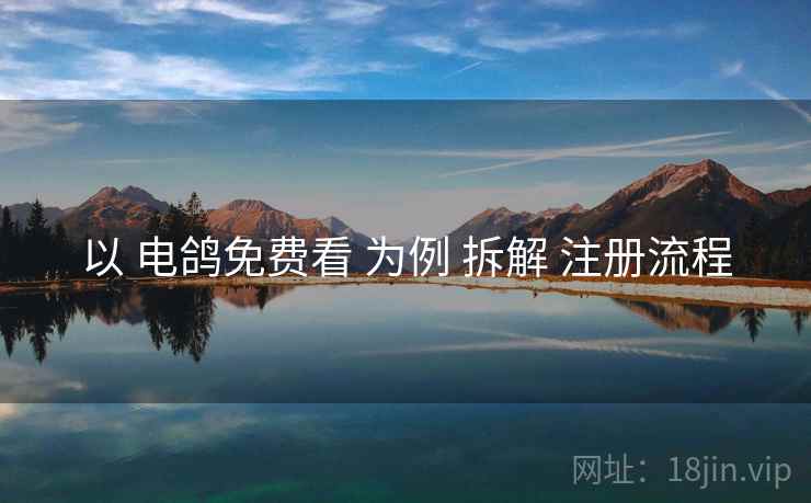 以 电鸽免费看 为例 拆解 注册流程