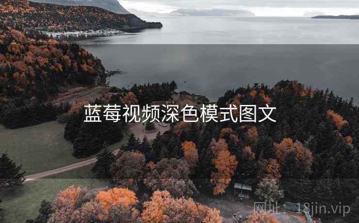 蓝莓视频深色模式图文