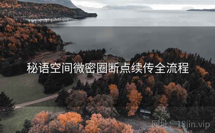 秘语空间微密圈断点续传全流程