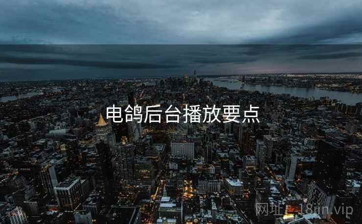 电鸽后台播放要点