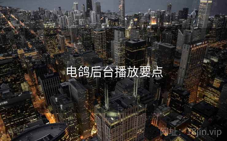 电鸽后台播放要点