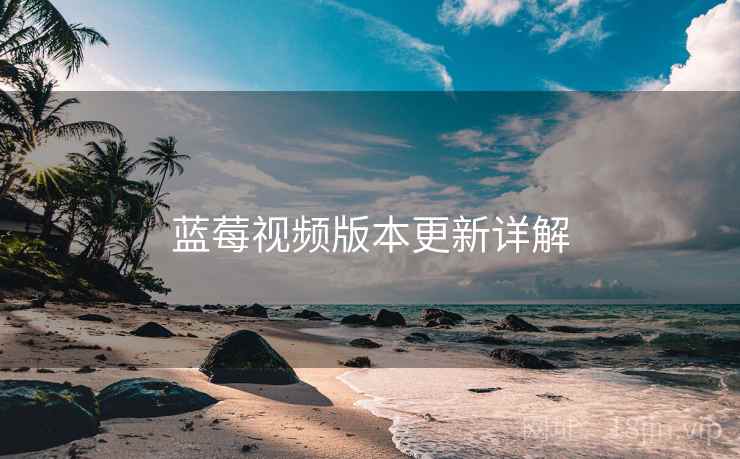 蓝莓视频版本更新详解
