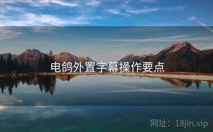 电鸽外置字幕操作要点