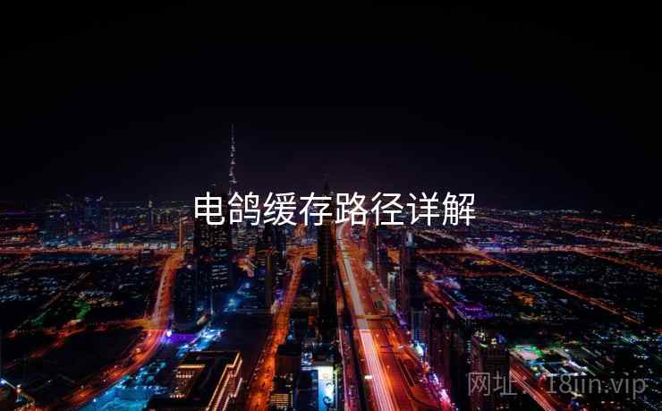电鸽缓存路径详解