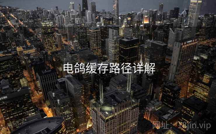 电鸽缓存路径详解