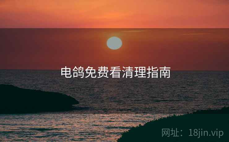 电鸽免费看清理指南