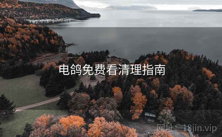 电鸽免费看清理指南