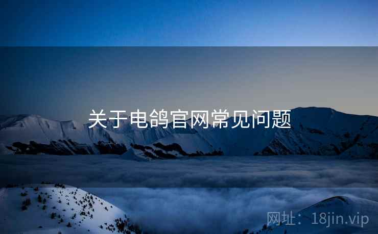 关于电鸽官网常见问题