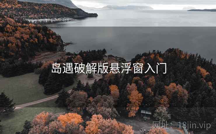 岛遇破解版悬浮窗入门