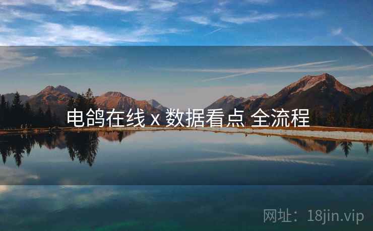 电鸽在线 x 数据看点 全流程