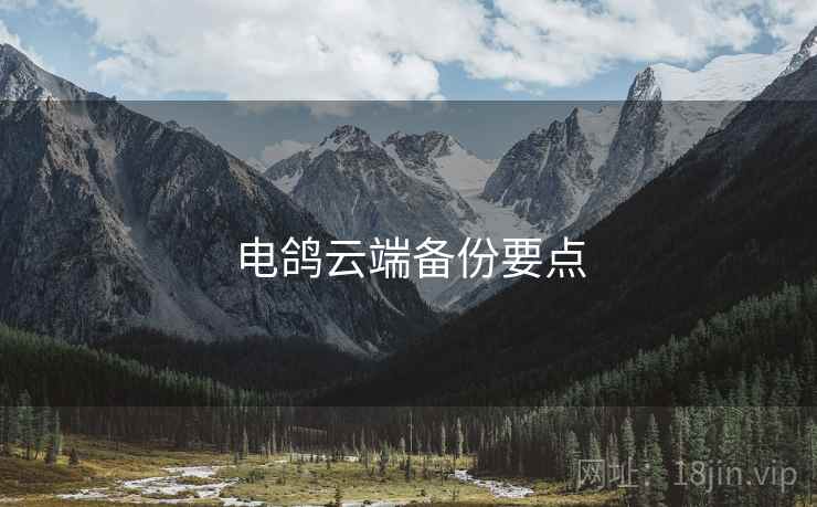 电鸽云端备份要点