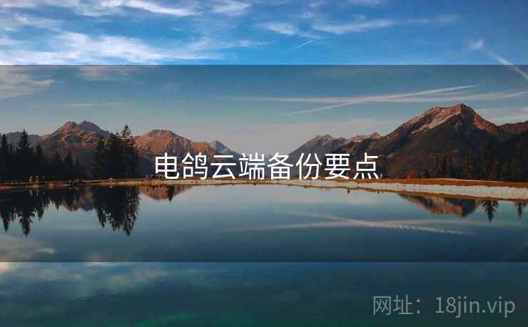 电鸽云端备份要点
