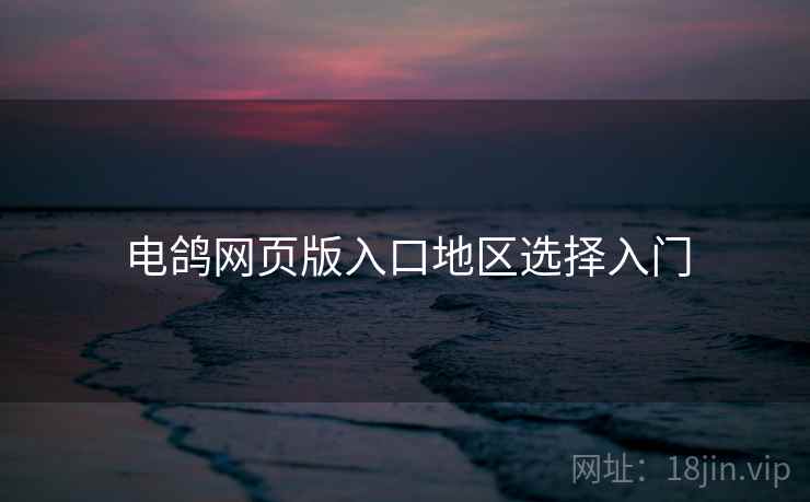电鸽网页版入口地区选择入门