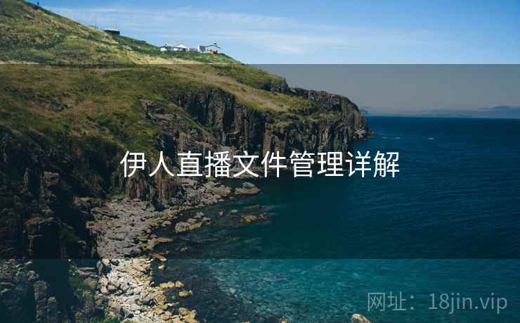 伊人直播文件管理详解