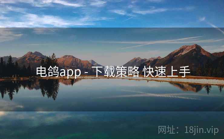 电鸽app - 下载策略 快速上手