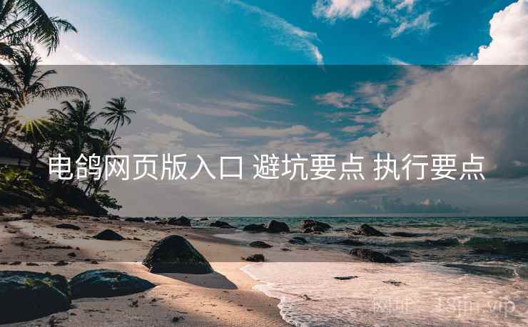 电鸽网页版入口 避坑要点 执行要点